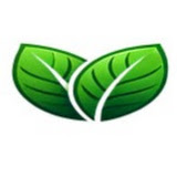 GreenWebPage
