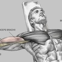 Slim N Shine Gym