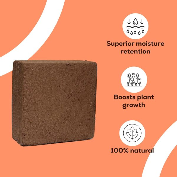 Cocopeat Block Organic Fertilizer and Soil Manure Potting Mixture for Home Gardening and Potted Plants (1 KG) - Image 4