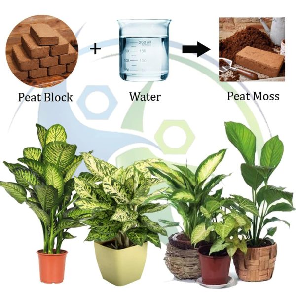 Cocopeat Block Organic Fertilizer and Soil Manure Potting Mixture for Home Gardening and Potted Plants (1 KG) - Image 3