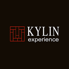 Kylin Experience