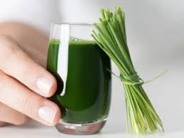 Best Organic Wheatgrass